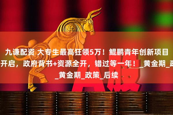 九谦配资 大专生最高狂领5万！鲲鹏青年创新项目申报即将开启，政府背书+资源全开，错过等一年！_黄金期_政策_后续