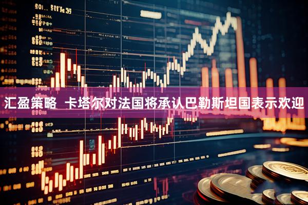 汇盈策略  卡塔尔对法国将承认巴勒斯坦国表示欢迎