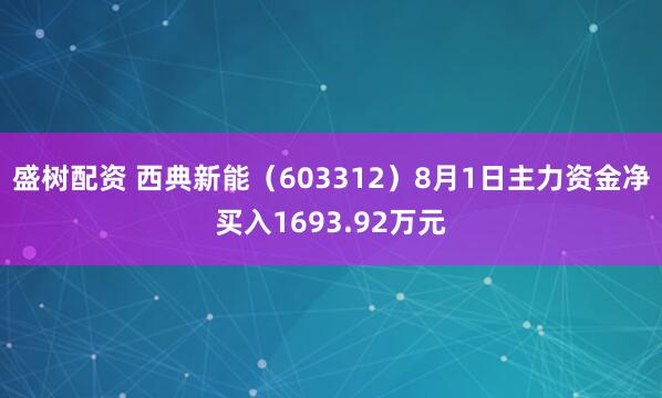 盛树配资 西典新能（603312）8月1日主力资金净买入1693.92万元