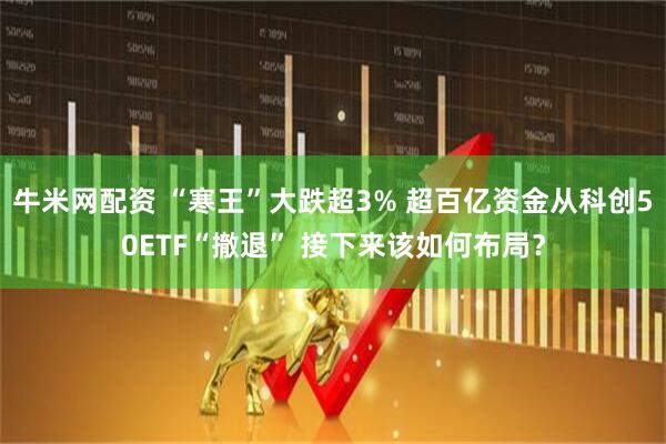 牛米网配资 “寒王”大跌超3% 超百亿资金从科创50ETF“撤退” 接下来该如何布局？