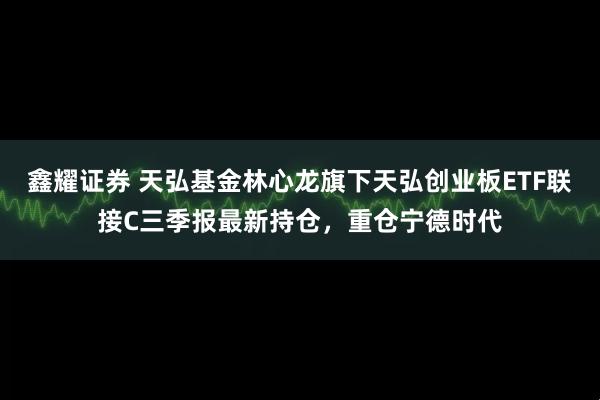 鑫耀证券 天弘基金林心龙旗下天弘创业板ETF联接C三季报最新持仓，重仓宁德时代