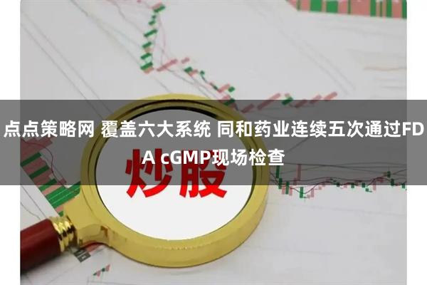 点点策略网 覆盖六大系统 同和药业连续五次通过FDA cGMP现场检查