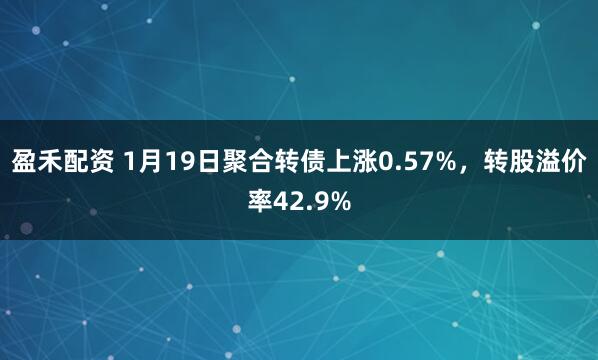 盈禾配资 1月19日聚合转债上涨0.57%，转股溢价率42.9%