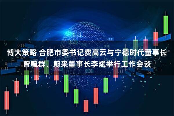 博大策略 合肥市委书记费高云与宁德时代董事长曾毓群、蔚来董事长李斌举行工作会谈
