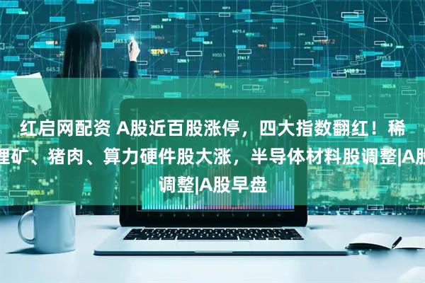 红启网配资 A股近百股涨停，四大指数翻红！稀土、锂矿、猪肉、算力硬件股大涨，半导体材料股调整|A股早盘