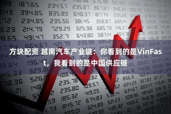 方块配资 越南汽车产业链：你看到的是VinFast，我看到的是中国供应链